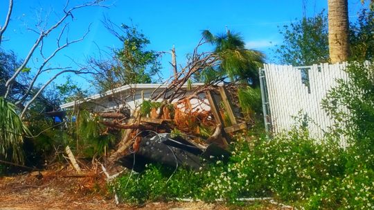 Four Years After Hurricane Michael: Revisiting the Devastation of Category 5 Storm