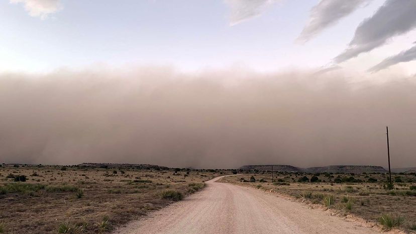 haboob