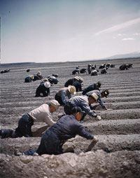 日裔美国人拘留在纽厄尔的集中营,大约在1942年。”border=