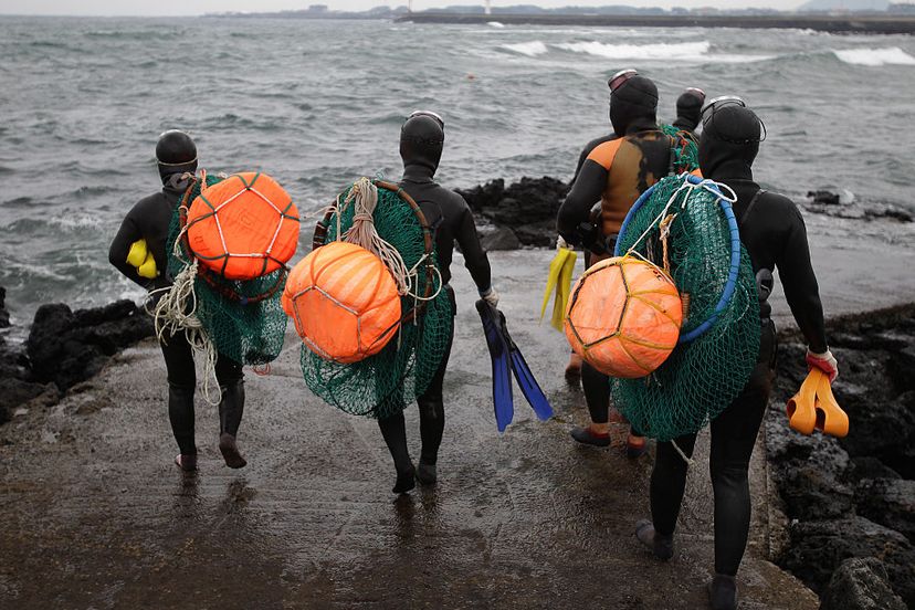 haenyeo free divers in korea