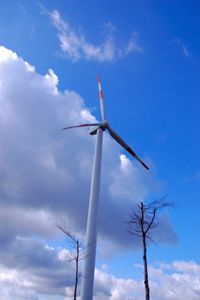 wind turbine