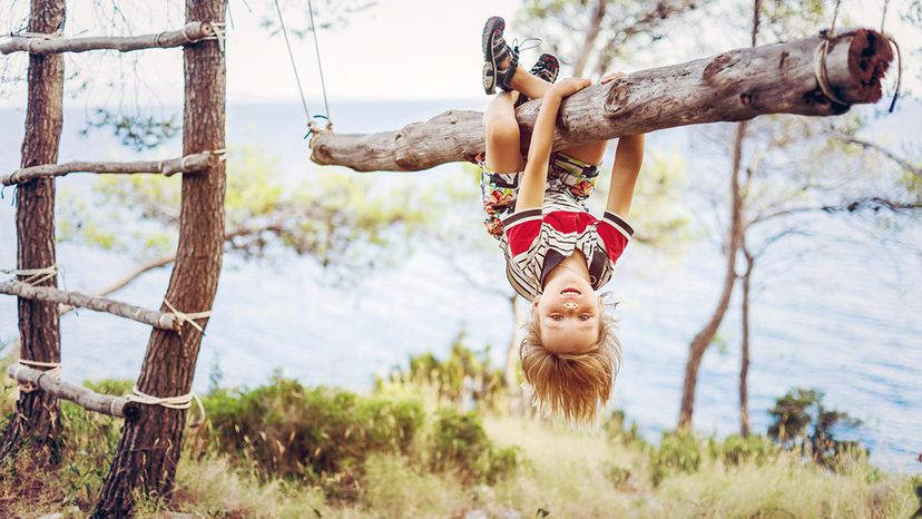 child hanging upside down on tree