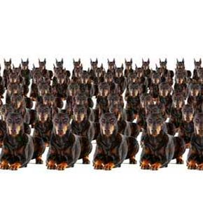 Cloning isn't a quick process that spits out duplicates like a copy machine.