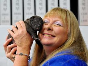 Bernann McKinney is the first person to buy a commercially cloned pet. Scientists at Seoul National University cloned her deceased pit bull terrier.