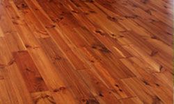 If you want a surefire way to improve the look and value of your home, hardwood floors are the way to go. They're beautiful and environmentally friendly. Find out all about this sustainable floor choice.