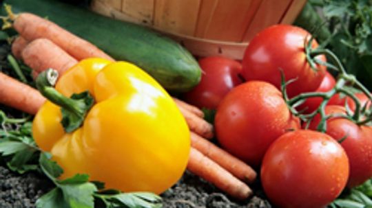 10 Hardest Vegetables to Grow and Maintain