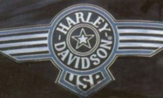 这些年来野生猪:哈雷标志”class=