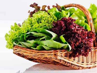 basket of lettuce