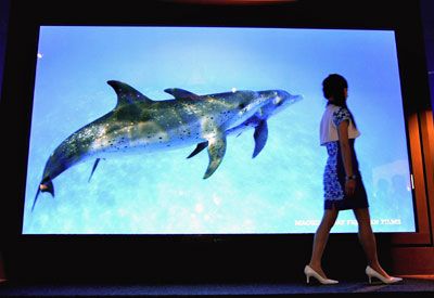 A woman walks along the Matsushita Electric Industrial Co., Ltd.'s 150-inch Advanced High-Definition Plasma Display at the 4th International Flat Panel Display Expo 2008 at Tokyo Big Sight.