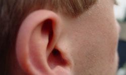 ear