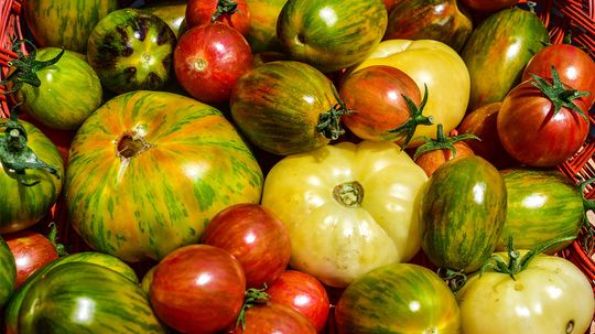 How Are Heirloom Tomatoes Different From Regular Tomatoes?