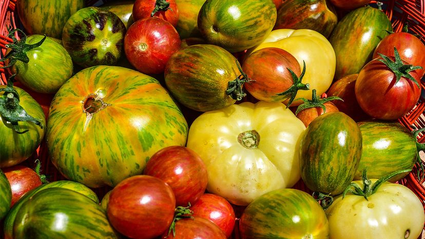 heirloom tomatoes	