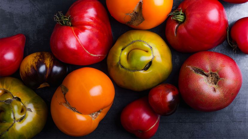 heirloom tomatoes