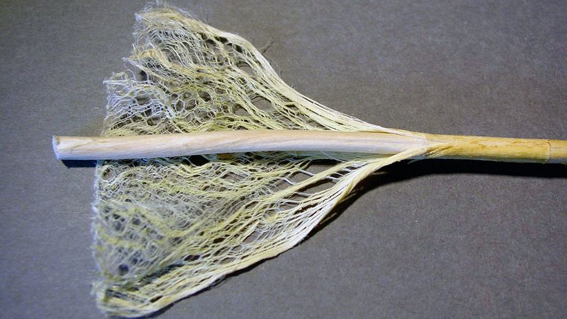 hemp fibers