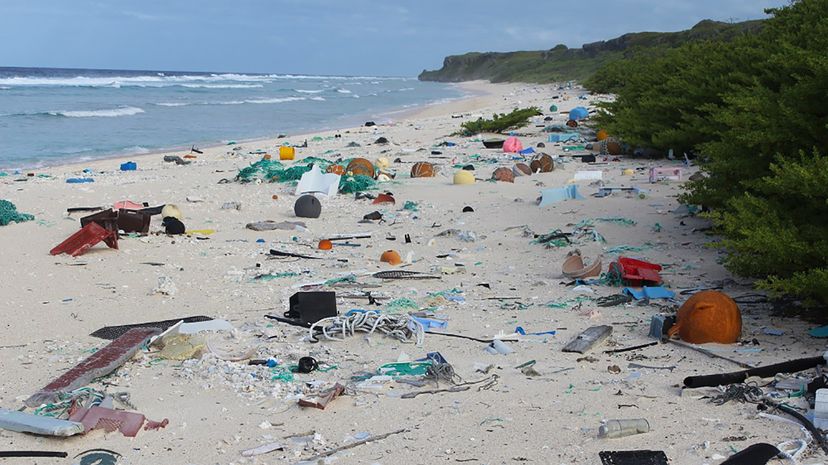 亨德森岛（Henderson Island）距离最近的大城市数千英里，但其海滩上充斥着人类垃圾。詹妮弗·拉弗斯/塔斯马尼亚大学“width=