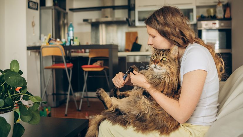 Woman sitting on couch with cat on her lap, clipping its claws