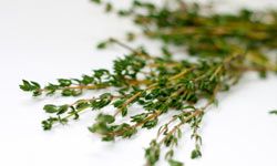 Thyme is still very flavorful when it's dried, but it's always nice to throw in some fresh herbs.