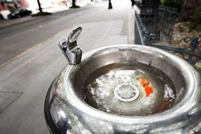 drinking fountain