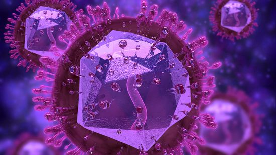 疱疹病毒和阿尔茨海默病之间的联系的证据越来越多＂class=