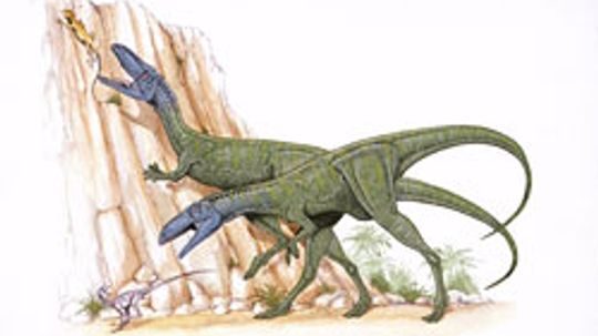 Herrerasaurus”border=