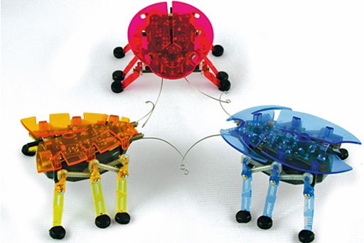 Hexbug insects hot sale