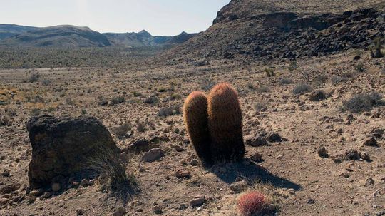 5 of Earth's Highest Deserts