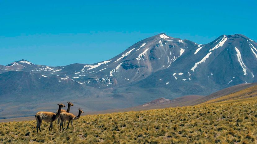 Atacama Desert