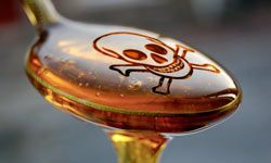 High-fructose corn syrup is easily more popular than sucrose on fast-food menus. Why? Price and preservation.