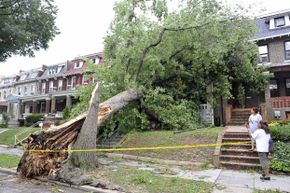 Make sure that trees near your house are cut back to avoid disasters like this one.