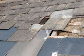 Inspect your roof twice a year for missing shingles, tears and other damage.