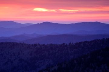 Sunset paints the mountain forest in gold.