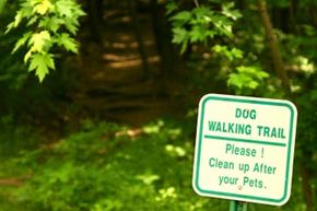 sign saying to clean up after dogs