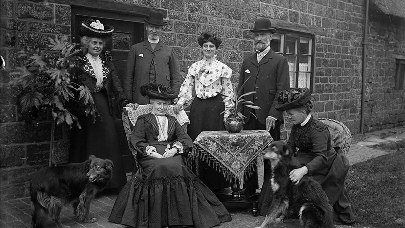 Edwardian family, Aspidistra