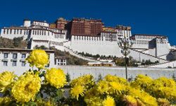 Some controversial sites, such as Potala Palace, were once considered hallowed ground. See more pictures of famous landmarks.