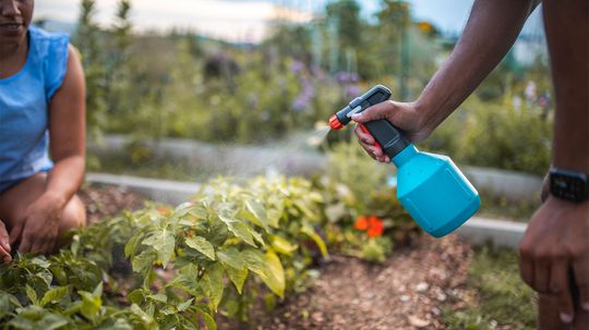 15 Homemade Organic Gardening Sprays That Actually Work