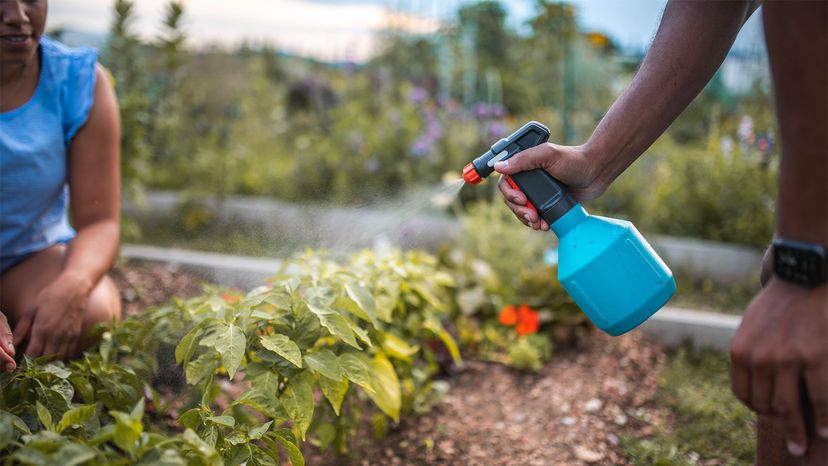 homemade garden spray