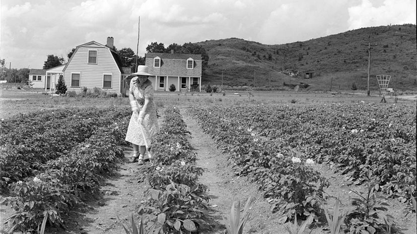 HOMESTEAD: Fort Terrett Ranch has been in operation since 1854