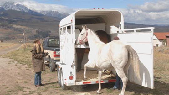 How Horse Trailer Towing Works