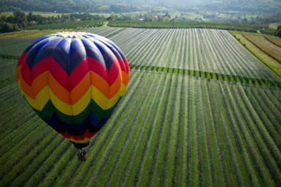 Can you take a hot air balloon through wine country?