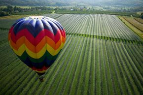 Hot air balloon over Napa Valley vineyards