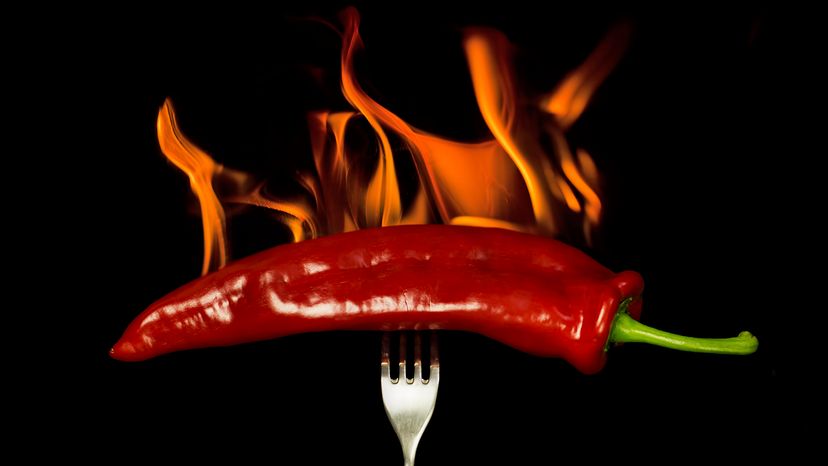 What's It Like to Eat the World's Hottest Chile Pepper?