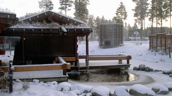 sauna cold plunge