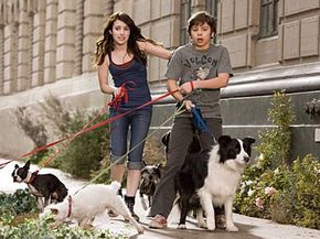 Inside "Hotel For Dogs" | HowStuffWorks