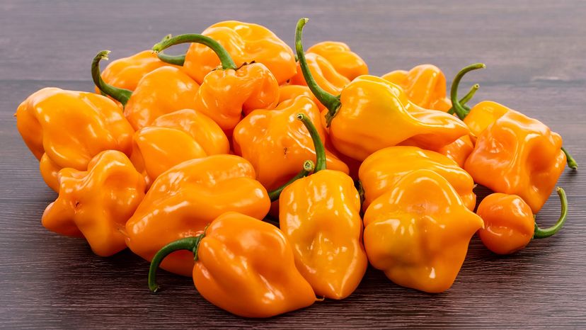 Scotch bonnet peppers