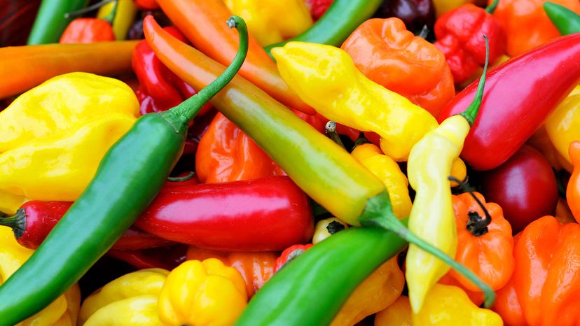 a variety of hot peppers