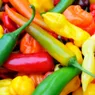 7 of the Hottest Peppers in the World
