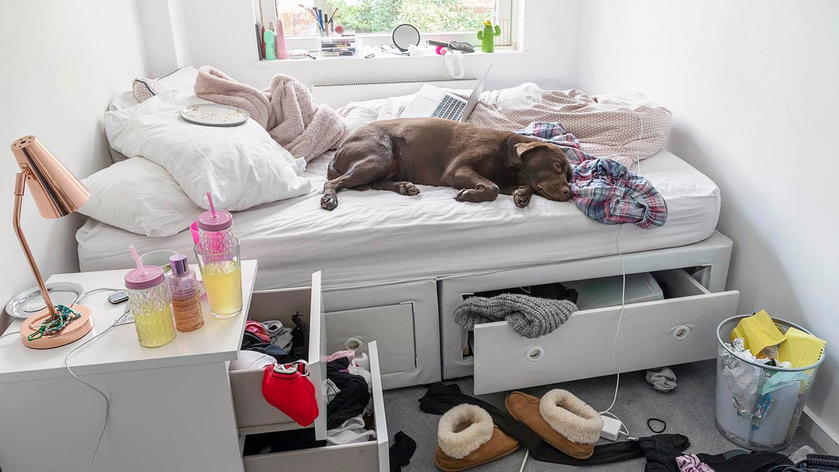 Why Can't You Smell Your Own House? HowStuffWorks