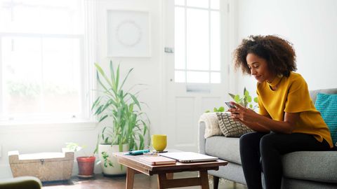 How Many Houseplants Do You Need for Good Indoor Air Quality? - Vimarsana News