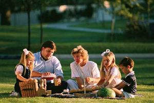 19 Home Remedies for Bites and Stings