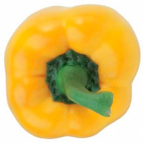 Yellow Pepper